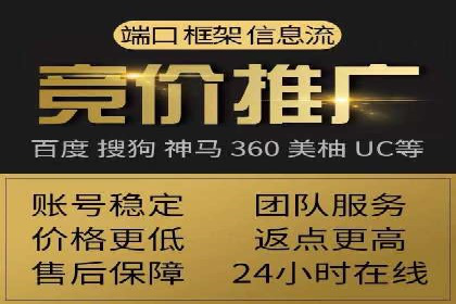 精准投放，高效转化：关键词竞价排名案例解析